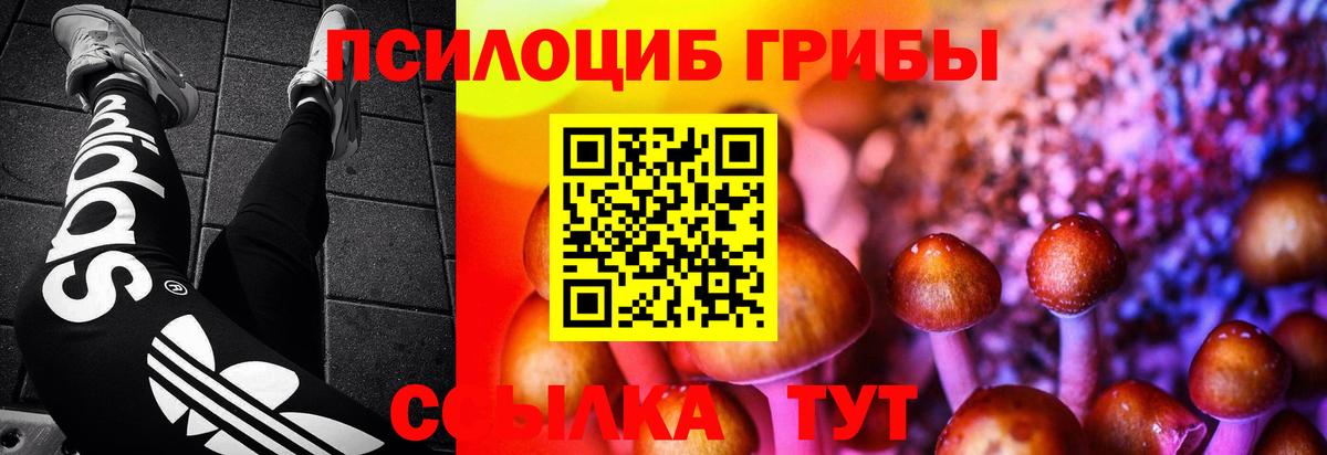 Йошкар-Ола  Псилоцибиновые грибы мицелий  Вход с VPN 